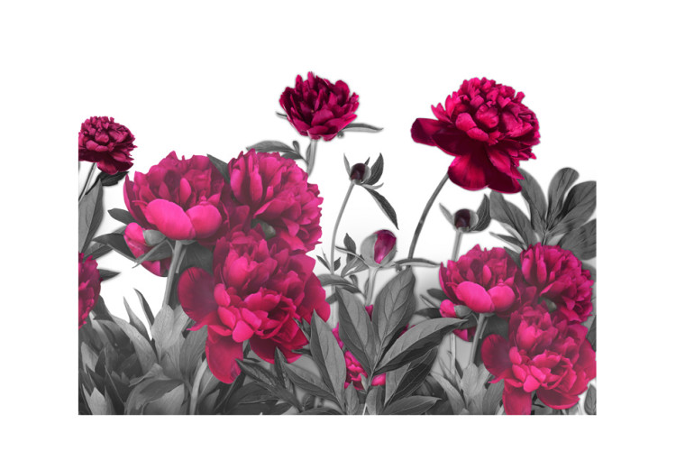 Fototapet Färgglad äng - naturliga blommor i energifyllda färger på ljus bakgrund 60480 additionalImage 1
