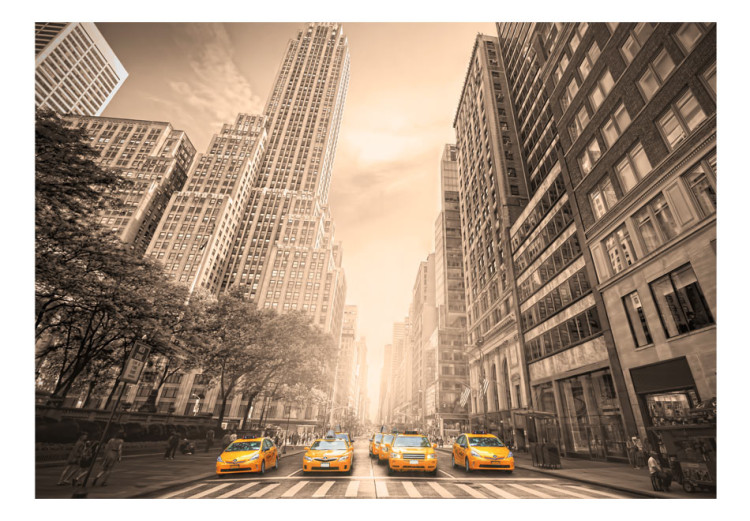 Fototapet Fågelperspektiv av New York - stadens arkitektur i grå nyanser 61501 additionalImage 1