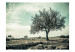 Fototapet Vintage-träd - lantligt landskap med träd på en åker mot himlen i sepia 59911 additionalThumb 1