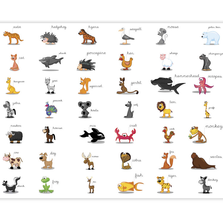 Fototapet Lära sig djur på engelska - olika färgglada djur för barn 61211 additionalImage 5