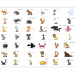 Fototapet Lära sig djur på engelska - olika färgglada djur för barn 61211 additionalThumb 5