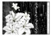 Fototapet Crying lilies 60721 additionalThumb 1