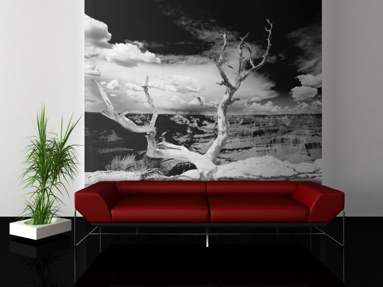 Fototapet Stora kanjonen - svartvitt landskap med ett ensamt träd i mitten 61621