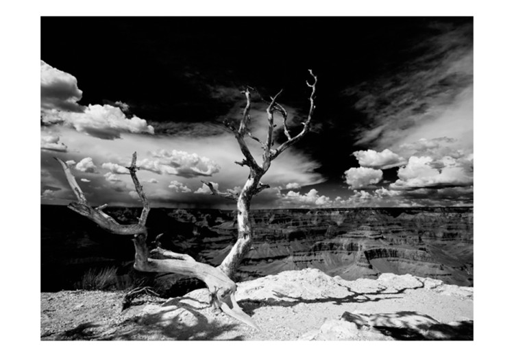 Fototapet Stora kanjonen - svartvitt landskap med ett ensamt träd i mitten 61621 additionalImage 1
