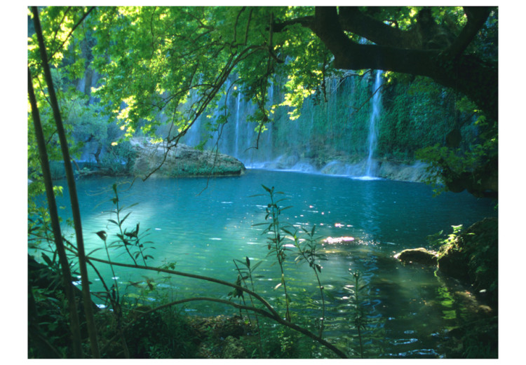 Fototapet Naturfrid - landskap med vattenfall som rinner ner i en sjö omgiven av träd 60031 additionalImage 1