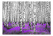 Fototapet Lila asyl - landskap med höga träd och en färgstark accent 60531 additionalThumb 1