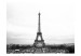 Fototapet Stadsarkitektur i Paris - svartvit retrobild av Eiffeltornet 59891 additionalThumb 1