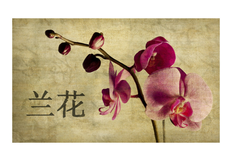 Fototapet Japanese orchid 60232 additionalImage 1
