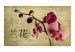 Fototapet Japanese orchid 60232 additionalThumb 1