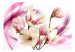 Fototapet Blommande magnolia - rosa-vit blomma på abstrakt bakgrund med vågor 63832 additionalThumb 1