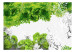 Fototapet Vårfärger grön - natur med växter och fjärilar på vit bakgrund 60742 additionalThumb 1