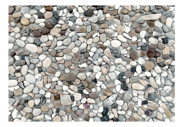 Fototapet Grå stenstrand - bakgrund med enhetligt mönster av olika stenar på sanden 64842 additionalImage 1