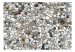 Fototapet Grå stenstrand - bakgrund med enhetligt mönster av olika stenar på sanden 64842 additionalThumb 1