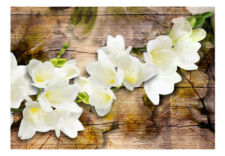 Fototapet Blommornas skönhet - vit fresia med skugga mot en brun träbakgrund 61872 additionalImage 1