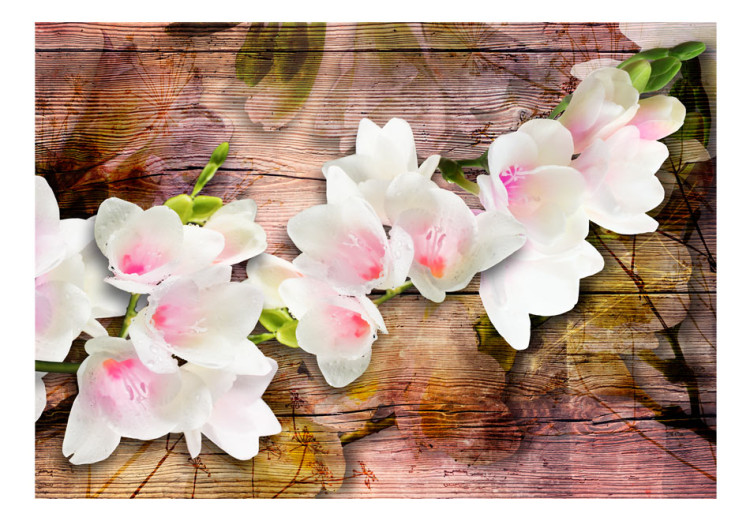 Fototapet Finesse av naturen - vita magnolior på gammalt trä med spegling 62272 additionalImage 1