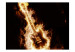 Fototapet Rockmusik - elgitarr i eldslågor mot svart bakgrund 61382 additionalThumb 1