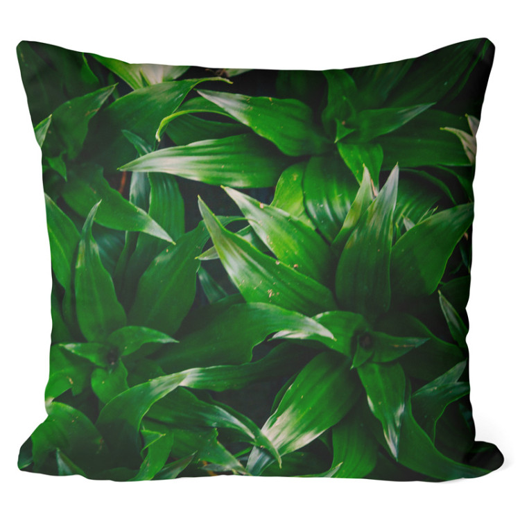 Mikrofiberkudda Dracaena oasis - a plant composition with rich detailing cushions 146813