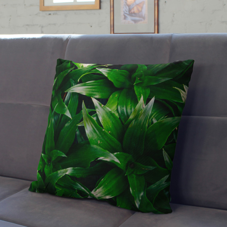 Mikrofiberkudda Dracaena oasis - a plant composition with rich detailing cushions 146813 additionalImage 3