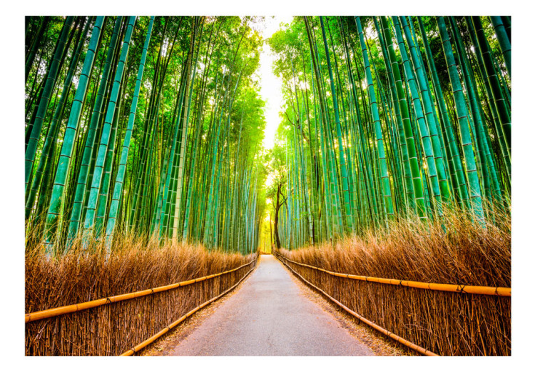 Fototapet Bamboo Forest 64513 additionalImage 1
