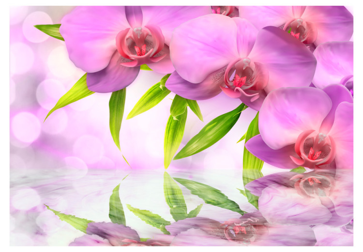 Fototapet Orchids in lilac colour 60223 additionalImage 1