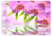 Fototapet Orchids in lilac colour 60223 additionalThumb 1