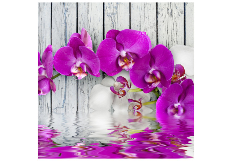 Fototapet Violet orchids with water reflexion 60233 additionalImage 1