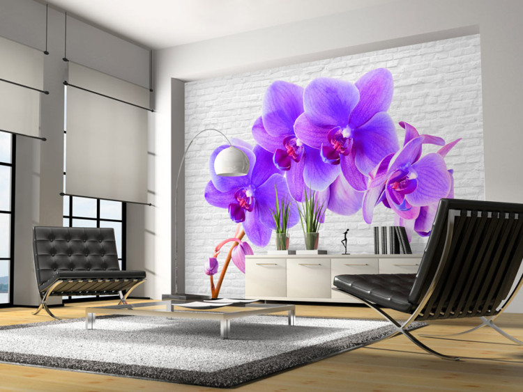 Fototapet Fiolett stimulans - blommotiv av orkidéer på vit tegelbakgrund 60243