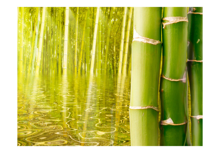 Fototapet Orient - asiatisk växtmotiv med närbild på bambu på en vattenspegel 61453 additionalImage 1