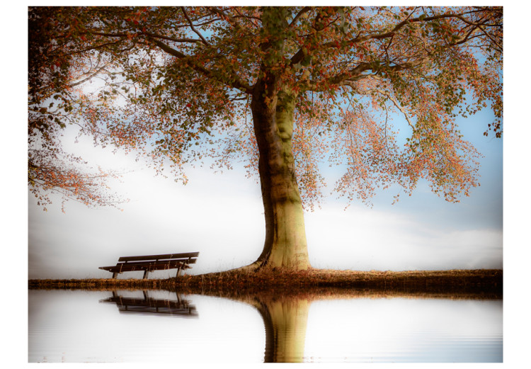 Fototapet Träd vid sjön - landskap med ensam bänk under en blå himmel 60263 additionalImage 1