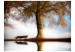 Fototapet Träd vid sjön - landskap med ensam bänk under en blå himmel 60263 additionalThumb 1