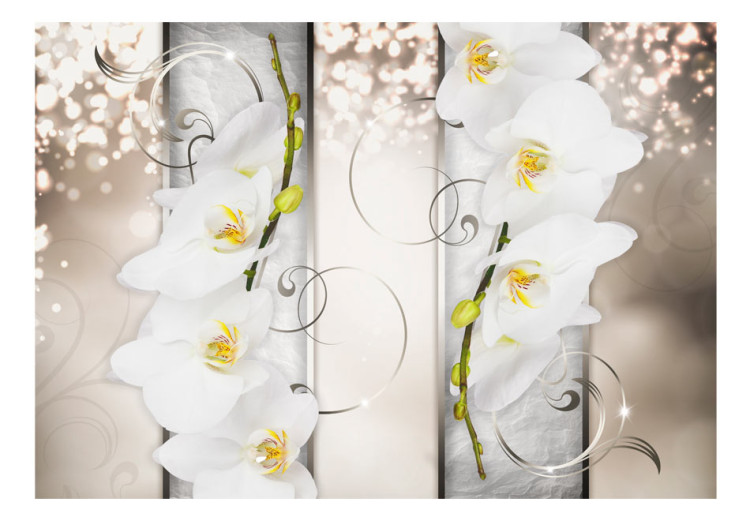 Fototapet Eleganta blommor - abstraktion med vita orkidéer mot bakgrund av mönster 60183 additionalImage 1