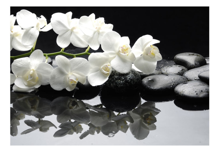 Fototapet SPA, stenar och orkidé - naturliga blommiga motiv på svart bakgrund 60193 additionalImage 1