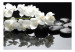 Fototapet SPA, stenar och orkidé - naturliga blommiga motiv på svart bakgrund 60193 additionalThumb 1