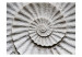 Fototapet Stenammonit - abstraktion av ett mönster av en vitgrå snäcka från havet 61004 additionalThumb 1