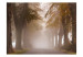 Fototapet Återvändsgränd - landskapsvy med en väg bland träd med gula löv i dimma 60514 additionalThumb 1