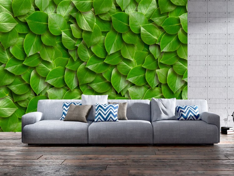 Fototapet Naturandas - enfärgad bakgrund med ordnade gröna lövdesign 64414