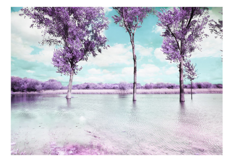 Fototapet Lavendellandskap - träd vid vattnet i provensalsk stil i lila nyanser 60444 additionalImage 1