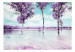Fototapet Lavendellandskap - träd vid vattnet i provensalsk stil i lila nyanser 60444 additionalThumb 1