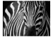 Fototapet Afrikas natur - en monolitiskt zebramönster i svartvitt på svart bakgrund 61344 additionalThumb 1