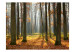 Fototapet Autumn trees 60525 additionalThumb 1