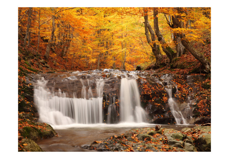Fototapet Autumn landscape : waterfall in forest 59845 additionalImage 1