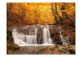 Fototapet Autumn landscape : waterfall in forest 59845 additionalThumb 1