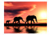 Fototapet Elephants: family 61345 additionalThumb 1