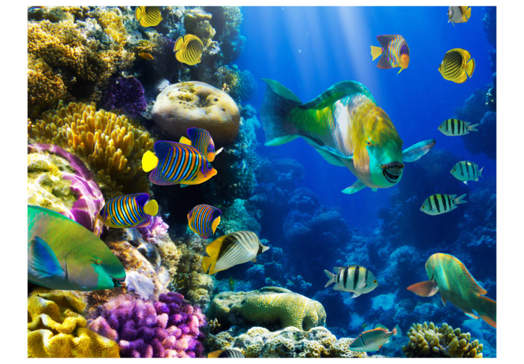 Fototapet Undervattensparadis - landskap med undervattensdjur på ett korallrev 60006 additionalImage 1