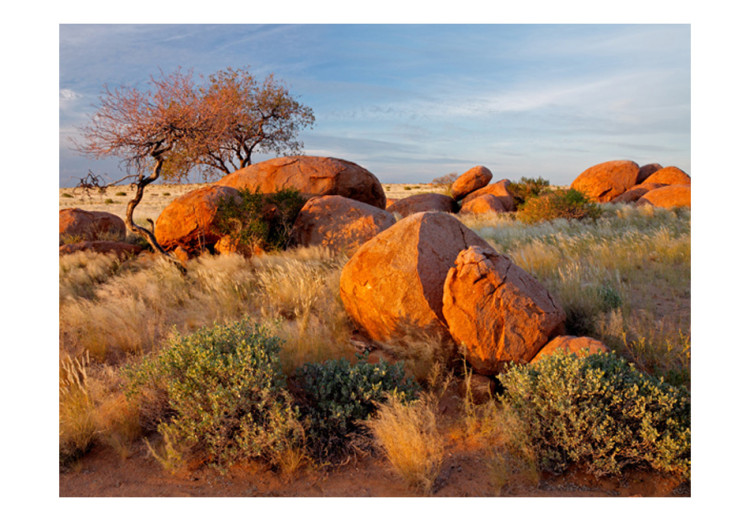 Fototapet Afrikanskt landskap i Namibia - afrikansk natur på savannen med stenar 61406 additionalImage 1
