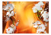 Fototapet Komposition med blommor - vita orkidéer på en apelsinfärgad bakgrund med mönster 61926 additionalThumb 1