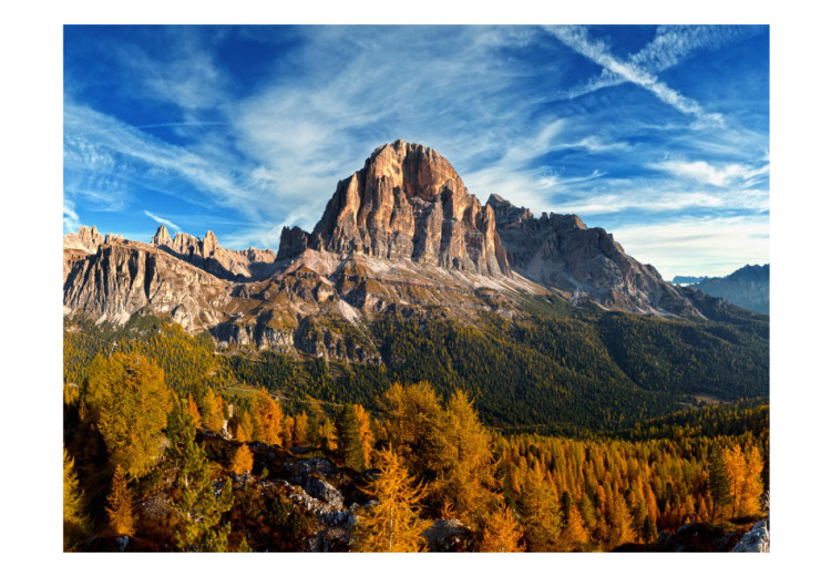 Fototapet Naturvy över Dolomiterna - bergslandskap med skog och himmel 59936 additionalImage 1