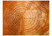 Fototapet Stamstockar - mönster av trästammar med sprickor för eldstaden 61046 additionalThumb 1