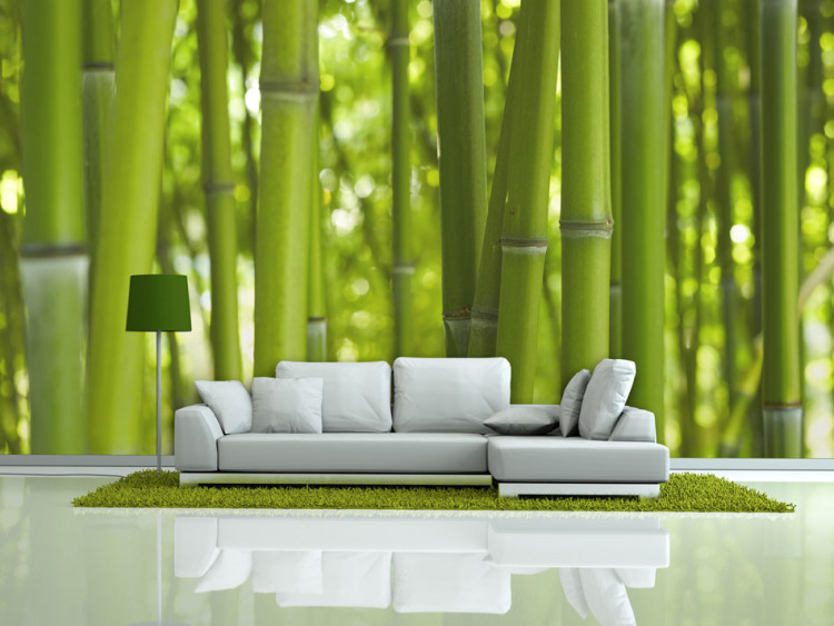 Fototapet Orient - avkopplande växtmotiv med närbild på blad och bambu 61446