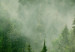 Rund tavla Foggy Forest - Landscape With Trees Among High Mountains 148666 additionalThumb 3